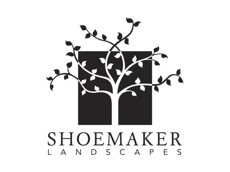 Shoemaker Landscapes
